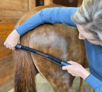 Best Practices for Managing Equine Arthritis