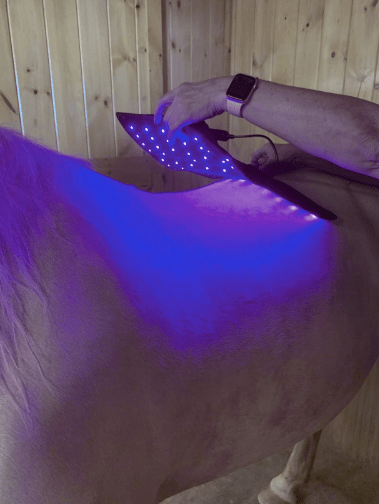 Legend Blue Light Therapy