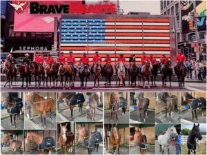 BraveHearts- giving back to veterans.