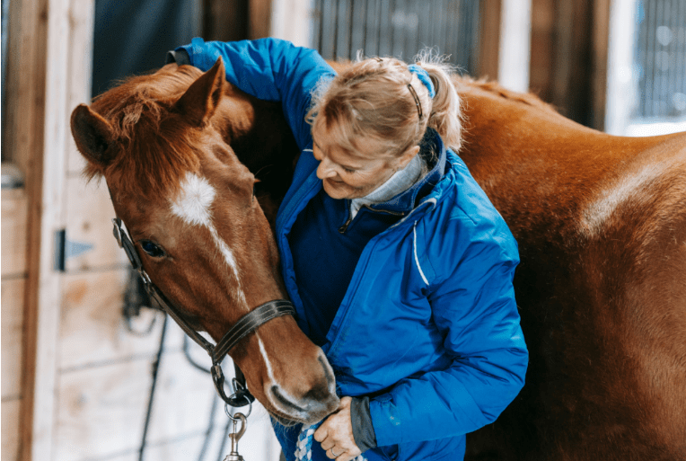 Care for your horse in a holistic way - try Reiki today!