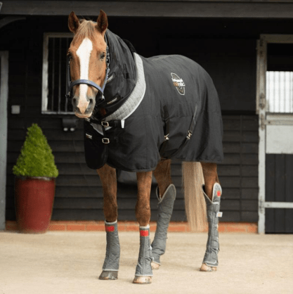 Equilibrium Therapy® Magnetic Rug