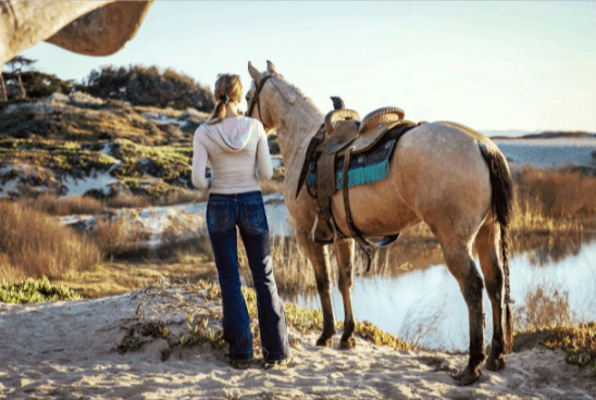 Mindful Horsemanship: A Guide to Groundwork Exercises