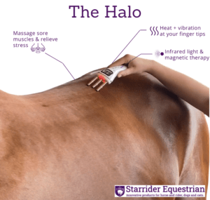 Perform-Better-With-The-Halo-Starrider-Equestrian