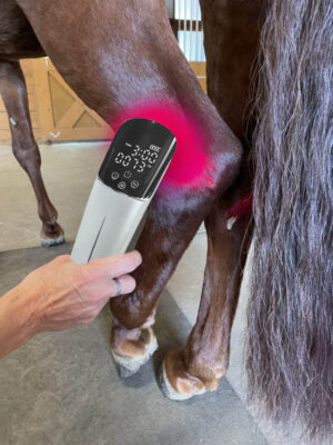 STARLIGHT-PLUS Red and Infrared Light Therapy Device