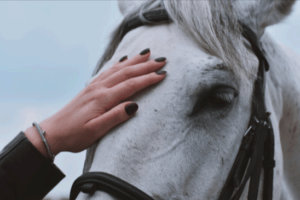 The Power of Equine Therapy: Improving Mental and Physical Health