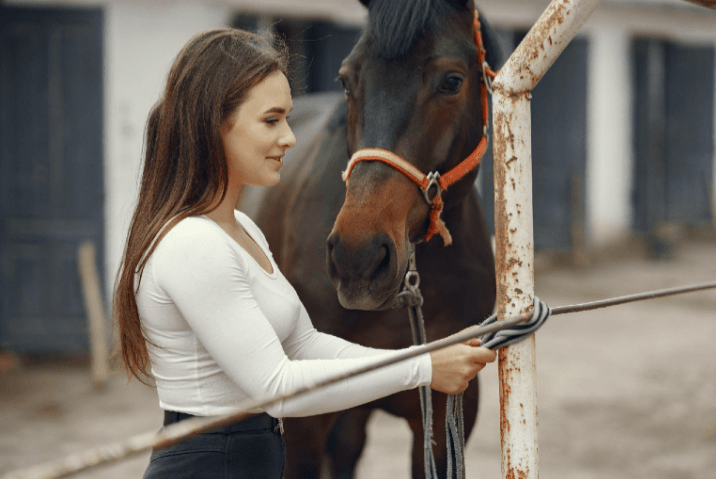 Tips for Horse Owners