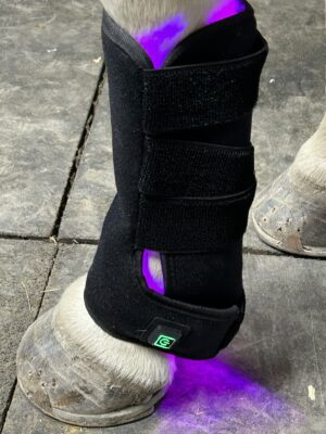 Starrider’s Ultra Boot has Red, Infrared, and Blue Light Therapy.