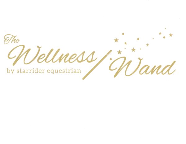 THE “ALL NEW” WELLNESS WAND